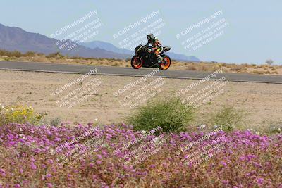 media/Mar-12-2023-SoCal Trackdays (Sun) [[d4c8249724]]/Turn 15 Inside Bloom (130pm)/